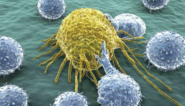 cancer-killing-t-cells