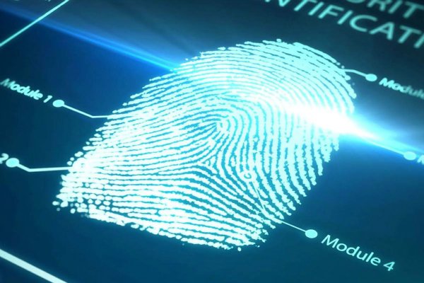 vivo-fingerprint-1024x683-w600.jpg