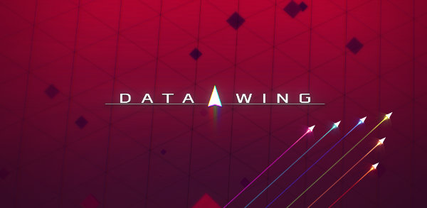 data wing game explained