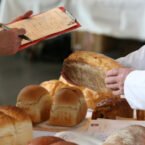دستکاری ژنتیکی گندم برای بی خطر سازی مصرف آن توسط بیماران مبتلا به سلیاک