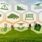 نگاهی به بازار اینترنتی روستانشنیان در کشور