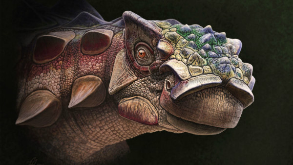 کشف فسیل یک گونه دایناسوری جدید در آمریکا