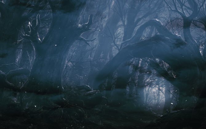 Dark-Forest-Wallpaper.jpg