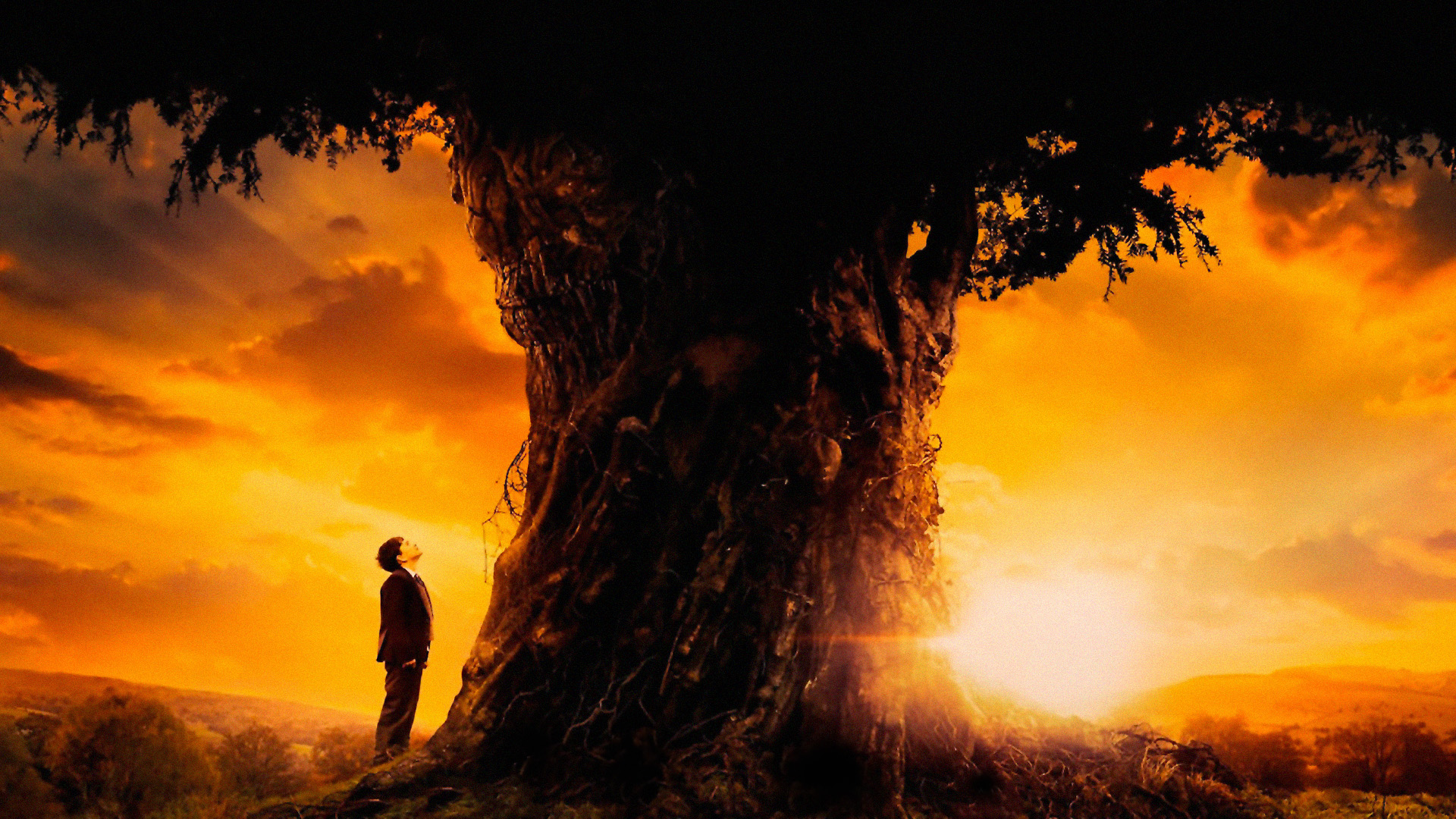 بررسی فیلم A Monster Calls 