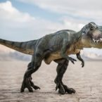 فسیل یک دایناسور در ای بِی به قیمت ۲.۹۵ میلیون دلار حراج شد