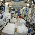 آلودگی ایستگاه فضایی بین‌المللی به نوعی باکتری؛ جان فضانوردان در خطر است؟