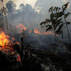 همه آنچه باید در مورد آتش سوزی های اخیر در آمازون بدانیم