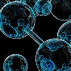 تکنیک حباب شناسی چیست و چگونه درکمان را از زیست‌شناسی بالا می‌برد؟