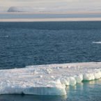 تمام یخ‌های دریایی آلاسکا ذوب شدند