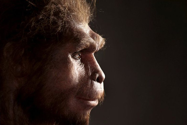 انسان راست قامت ۱۰۰ هزار سال قبل در جزیره اندونزی زندگی کرده است