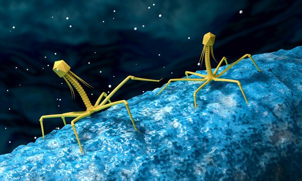 کشف بیش از 300 ویروس بزرگ با قابلیت های عجیب