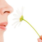 هر آنچه تاکنون از تأثیر ویروس کرونا بر حس بویایی و چشایی میدانیم