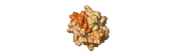 ژنوم SARS-CoV-2