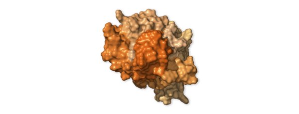 ژنوم SARS-CoV-2