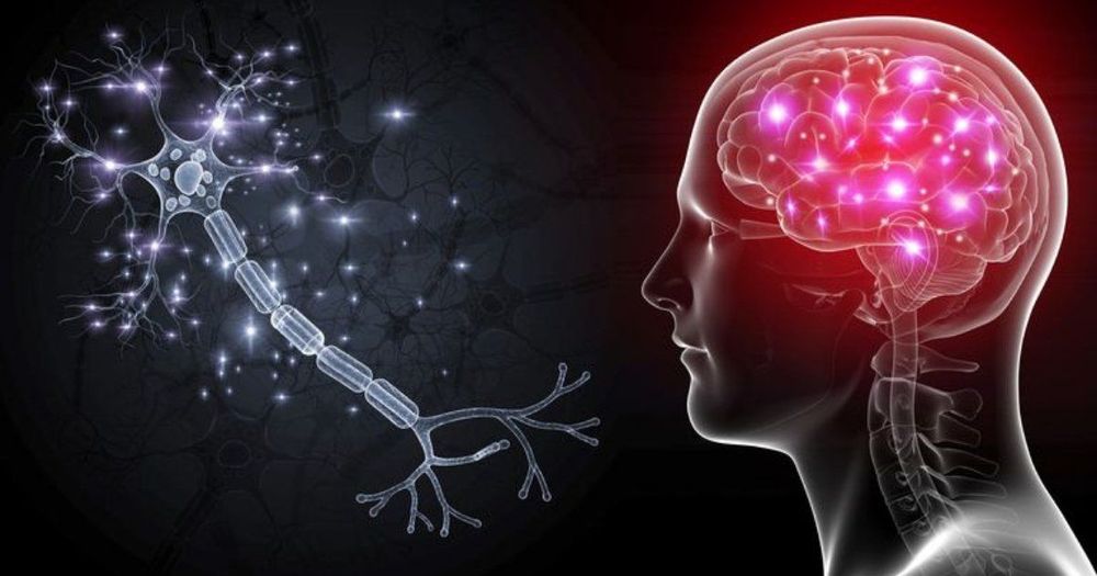 محققان از کشف نوعی ارتباط عصبی ناشناخته خبر می‌دهند