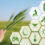 جمعبندی روز: سه شنبه، ۲۱ مرداد ۱۳۹۹ اخبار IT Agritech Startup 145x145 جمعبندی روز: سه شنبه، ۲۱ مرداد ۱۳۹۹ اخبار IT