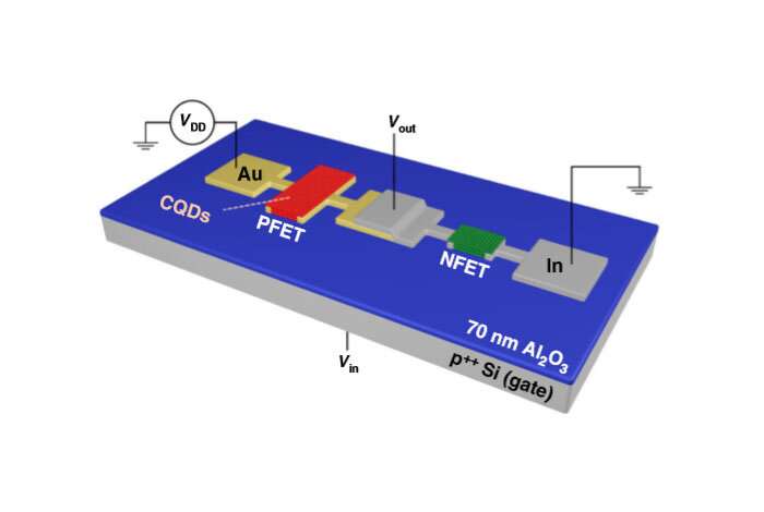محققان با ساخت ترانزیستورهای کوانتوم دات، تولید مدارهای الکترونیکی انعطاف‌پذیر را ممکن کردند