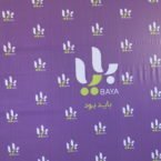 مدیرعامل بایا: ظرف سه سال، ۳ درصد به تجارت الکترونیکی ایران اضافه میکنیم