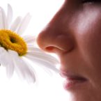 چرا حس بویایی قویتر از سایر حواس خاطرات را در ذهن تداعی میکند؟