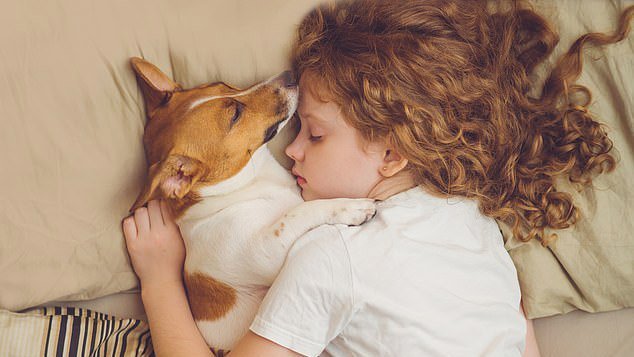 همراهی با حیوانات می‌تواند به بهبود کیفیت خواب کودکان کمک کند