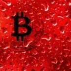وضعیت قرمز در بازار رمزارزها: قیمت بیت کوین، کمتر از ۳۰ هزار دلار