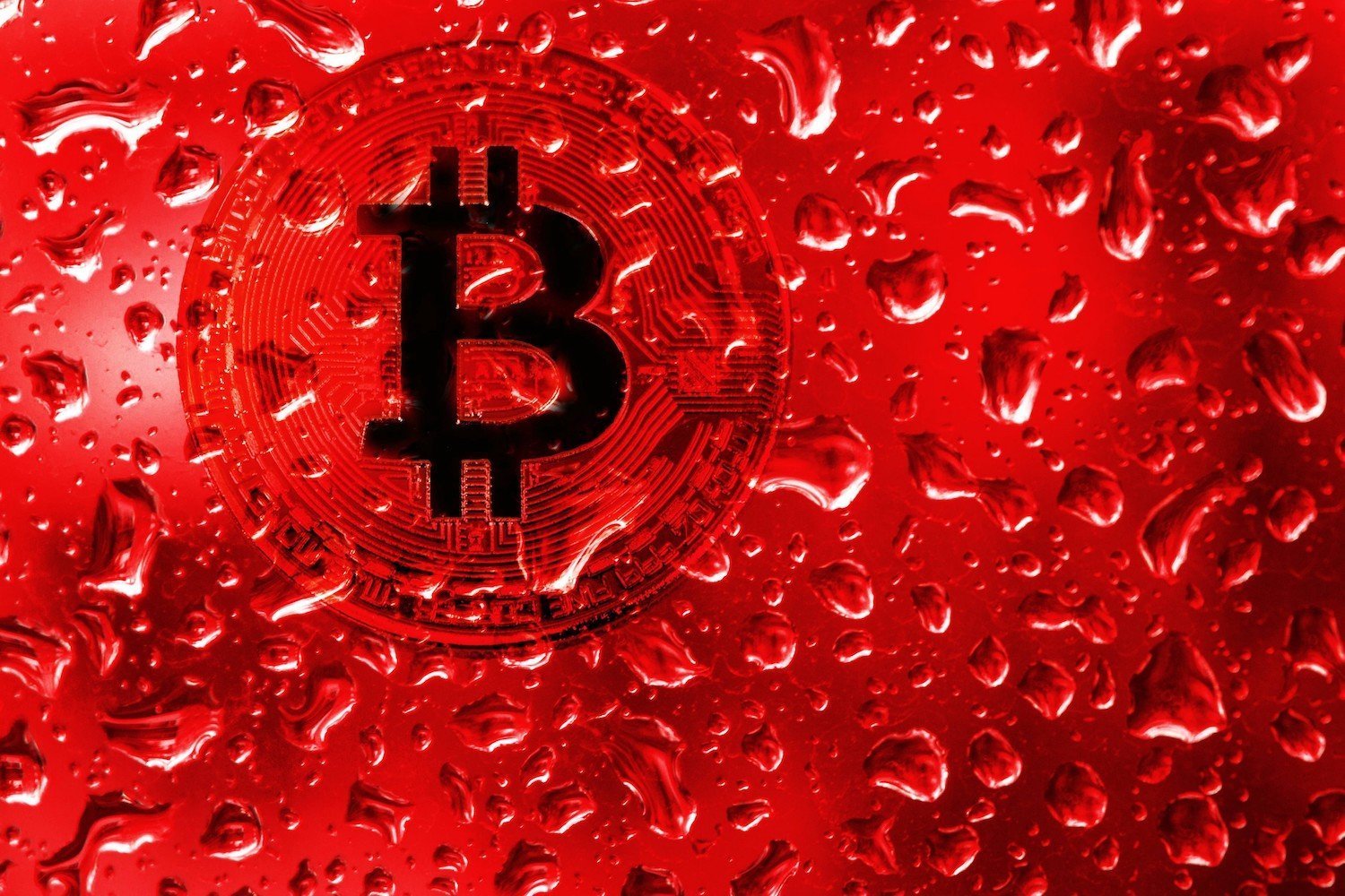 [تصویر:  bitcoin.jpeg]