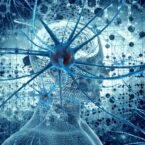 دانشمندان روی سیگنال مغزی جدیدی مطالعه می‌کنند