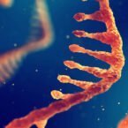 تحقیقی تازه برای اولین بار از قابلیت نوشتن دنبالههای RNA در DNA خبر میدهد
