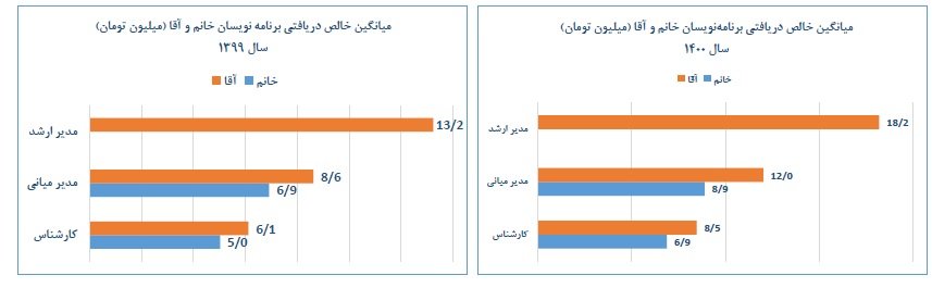 درآمد برنامهنویسی