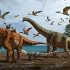 کشف دو گونه جدید از دایناسور‌های غول پیکر در چین