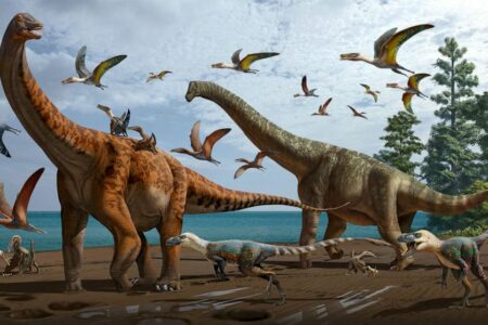 کشف دو گونه جدید از دایناسور‌های غول پیکر در چین