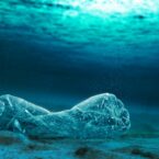 مرگ زمین: آلودگی ناشی از پلاستیک پیامدهایی  فراتر از آنچه تصور می‌کنیم دارد