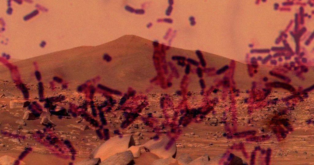 دانشمندان از امکان تولید سوخت راکت در مریخ به کمک باکتری‌ها خبر می‌دهند