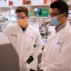 دانشمندان با فناوری اصلاح ژن CRISPR ابزار تشخیص سریع کرونا ساختند