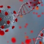 درمان جدید RNA سیستم ایمنی بدن را در مبارزه با ویروس کرونا تقویت می‌کند