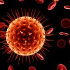 برای دومین بار در تاریخ: یک بیمار HIV بطور طبیعی و بدون دارو از این بیماری نجات پیدا کرد