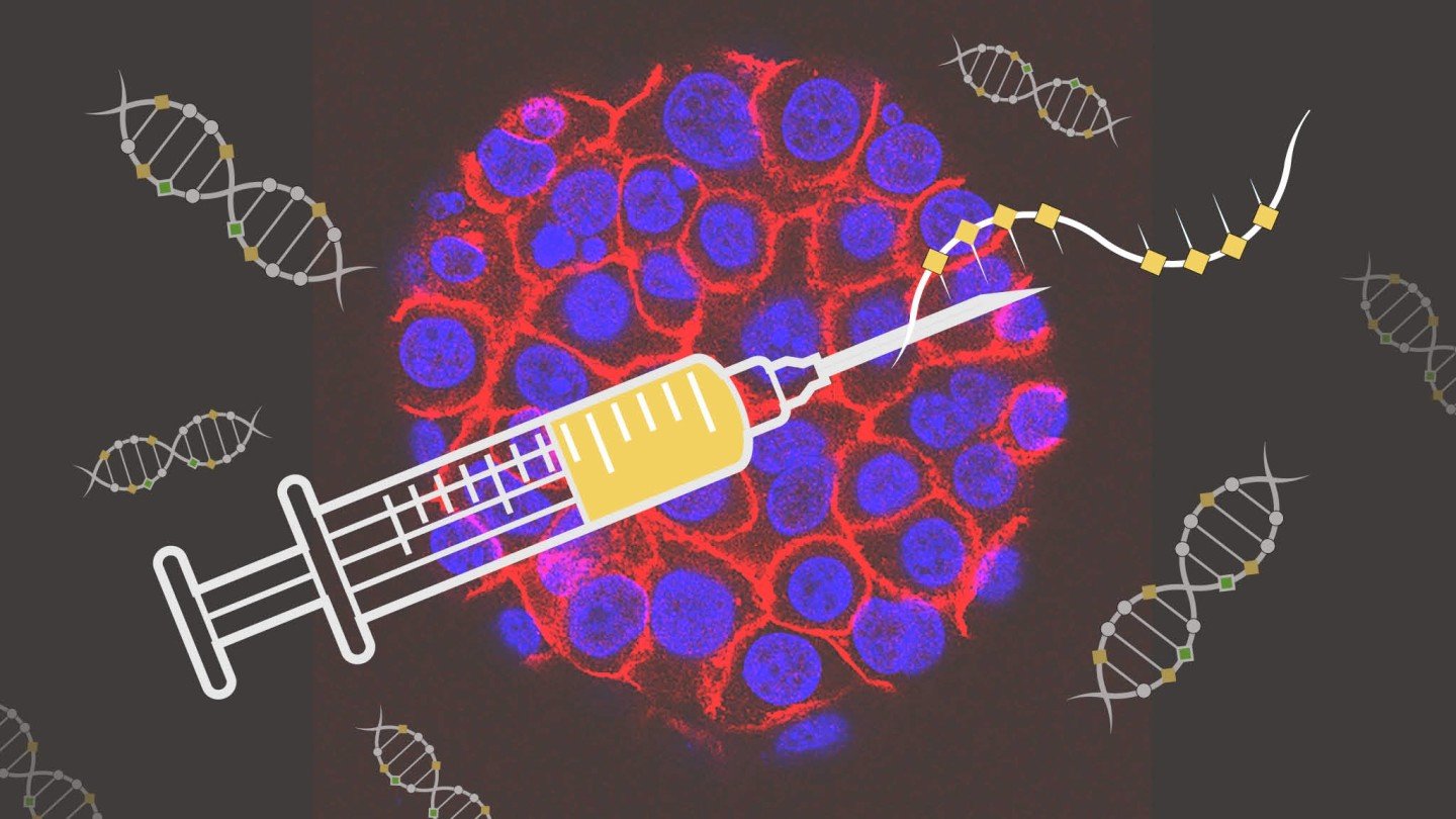 داده‌های مدرنا نشان می‌دهد mRNA راه‌حل سریعی برای واکسن آنفولانزا نیست