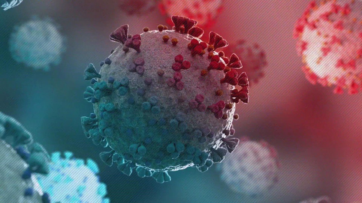 ویروس کرونای امیکرون احتمالا با ویروس سرماخوردگی ترکیب شده است