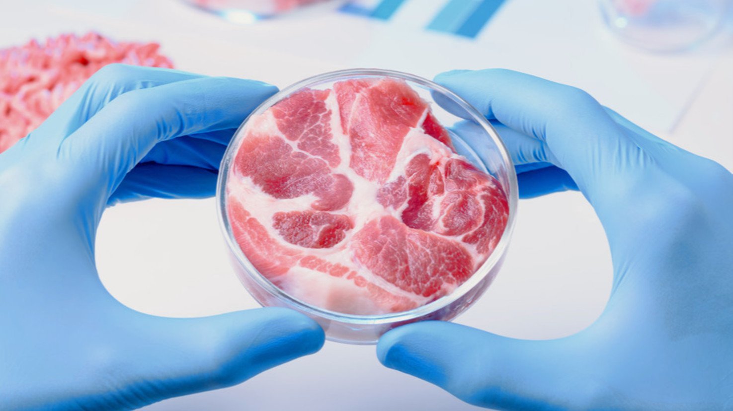 کاهش هزینه تولید مرغ آزمایشگاهی تا ۱٫۷ دلار توسط شرکت Future Meats