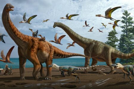 نگاهی به دایناسورهایی که در سال ۲۰۲۱ کشف شدند!
