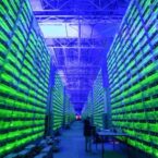 استخراج بیت کوین پس از ممنوعیت چین به طور کامل بهبود یافته است