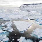 خطر جدی در کمین قطب شمال؛ افزایش دما و دگرگونی بی سابقه منطقه