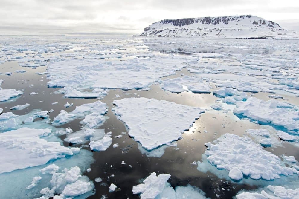 خطر جدی در کمین قطب شمال؛ افزایش دما و دگرگونی بی سابقه منطقه