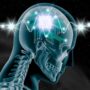 شرکت تراشه‎‌ مغزی ایلان ماسک آزمایش‌های بالینی را روی انسان‌ها انجام می‌دهد