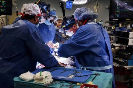 پزشکان برای اولین بار در دنیا با موفقیت قلب خوک را به انسان پیوند زدند