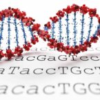 محققان استنفورد با تکنیک جدید کشف دنباله ژنوم و بیماری‌های ژنتیکی رکورد گینس را شکستند
