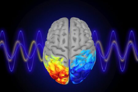 محققان برای اولین بار امواج مغزی یک بیمار در حال مرگ را ثبت کردند