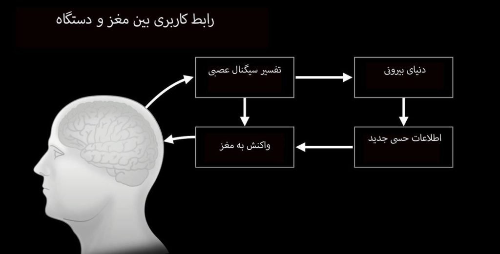 هر آنچه باید در مورد تراشه مغزی شرکت نورالینک بدانید