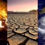 روانشناسان عقیده دارند باید برای درمان اثرات خطرناک گرمایش زمین اقدامات ویژه انجام داد