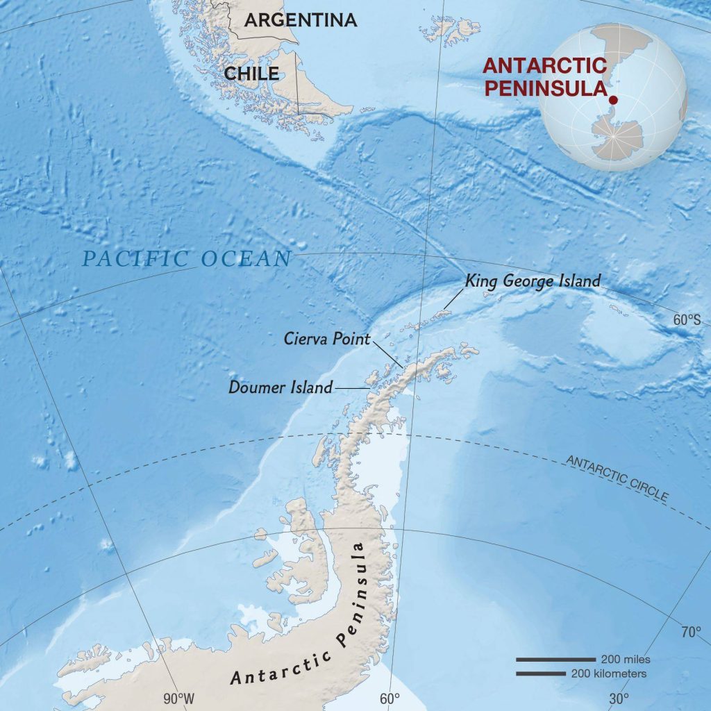 شبه جزیره جنوبگان
آلودگی کربن سیاه